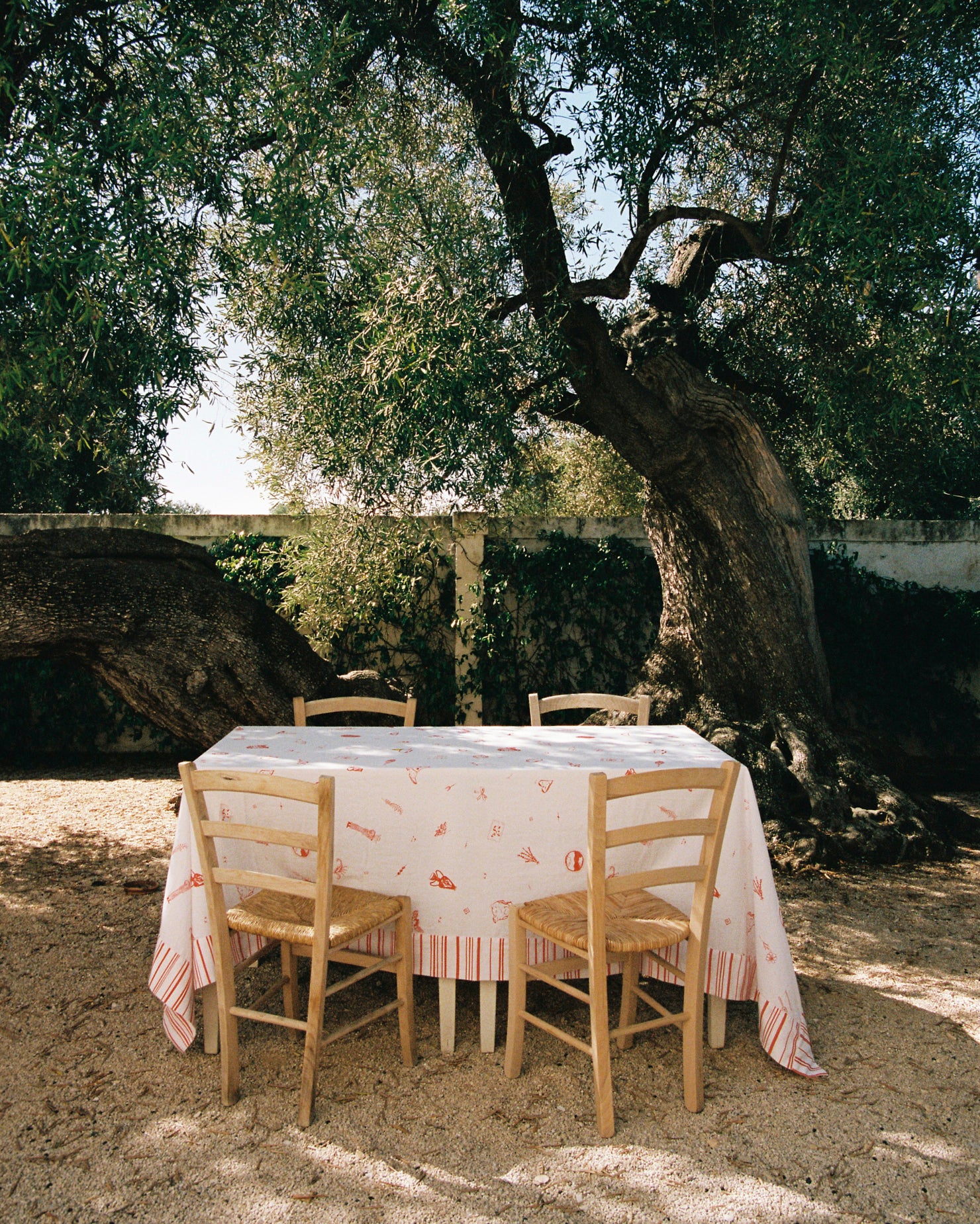 Olive's House + B.G Studio Collection