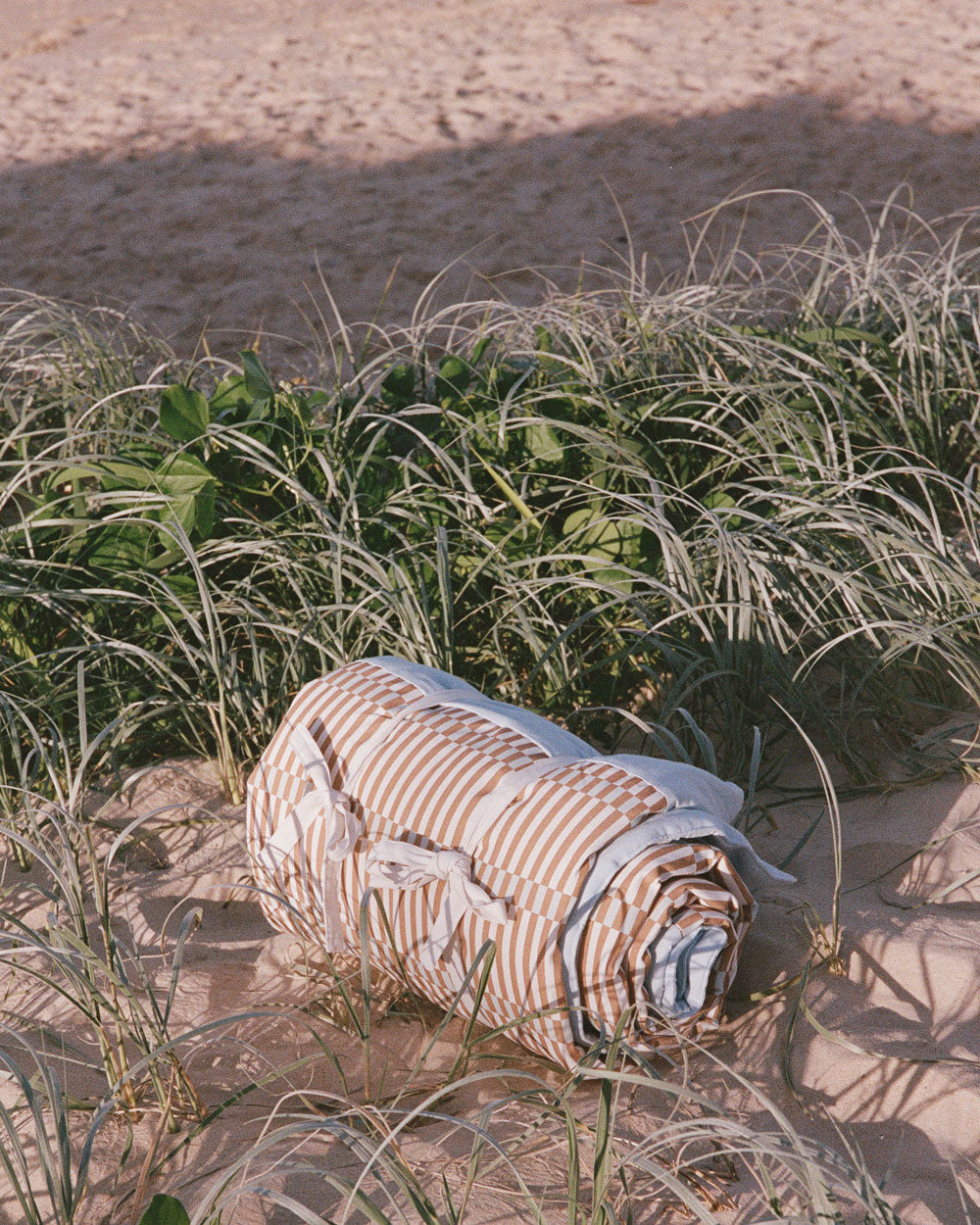 Picnic Rugs